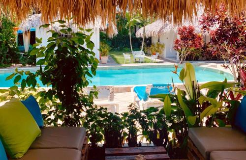 ProCab House | EverGreen Cabarete
