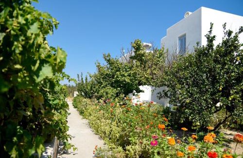 Drios Apartment | Flora & Agelos Studios - Paros