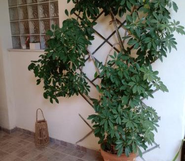 Keratsini-Drapetsona Apartment | Garden studio