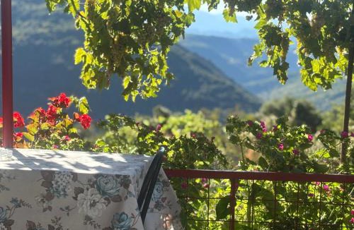 North Tzoumerka House | Georgaras Accommodation