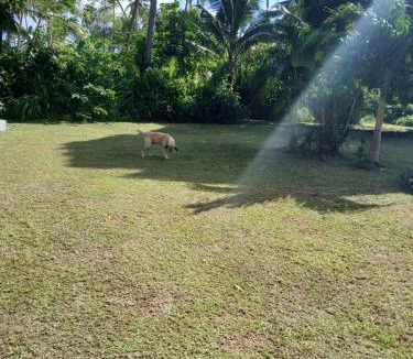 Korolevu House | Grace Homestay