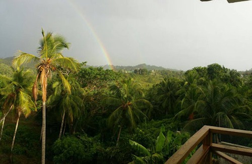 Samana Apartment | Great Palm view - Apartment 3 in Villa Coconut
