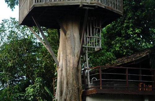 Pengosekan Resort | Green Tree House Villa Ubud