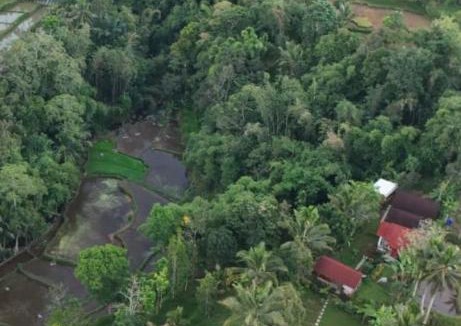 Tetebatu House | Greenday bungalows