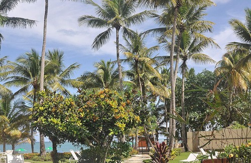 Cabarete Apartment | Guest-friendly beachfront penthouse, sea views, top floor, pool, near all!