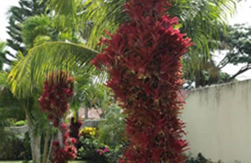 Villas Ana Maria Apartment | Guest-friendly studio in downtown Sosua, pool/TV/Wi-Fi, free housekeeping