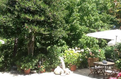 Tsagarada House | Guesthouse Kleopatra's
