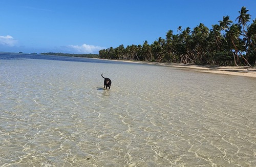 Naweni Cottage | Hibiscus Bure Beachfront Eco Retreat,Relax. Enjoy.