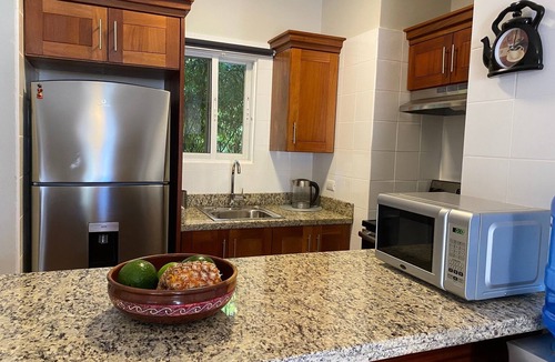 El Batey Apartment | Hispaniola Sol 2BR Condo - Alicia Beach Property