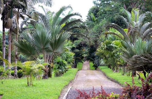 Corales del Sur Apartment | Holiday apartment Santo Domingo Este for 1 - 2 persons with 1 bedroom - Holiday apartment