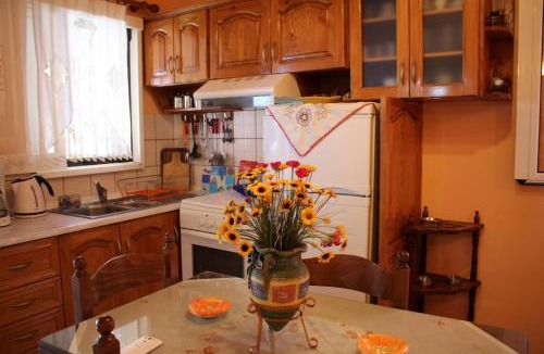 Skala Apartment | Holiday Home Dina