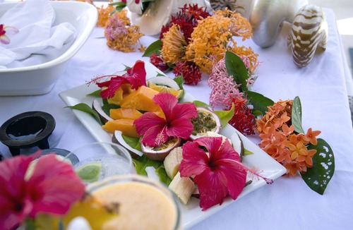 Taveuni Island East Villa | Horizon Spa Villa offers exclusive, luxurious five star experience in paradise.