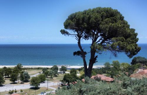 Stomio Hotel | Hotel Alexiou