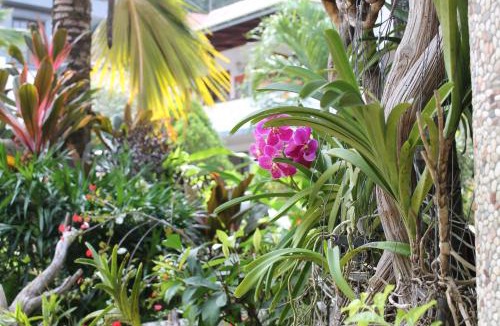 La Digue Hotel | Hotel Chateau St Cloud