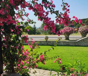 Kalamitsi Hotel | Hotel Ermioni