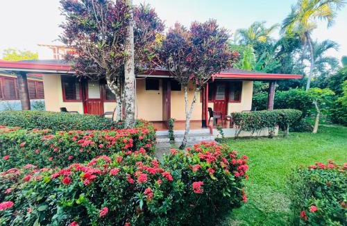 El Centro Apartment | Hotel palococo