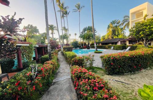 El Centro Apartment | Hotel palococo