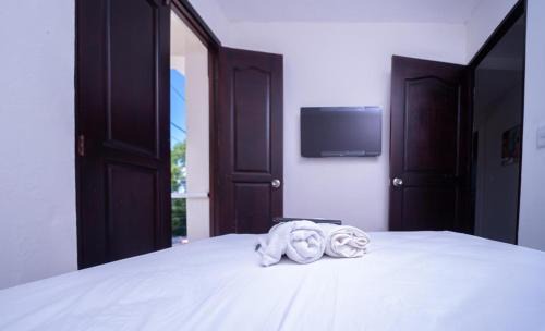 Centro Apartment | Hotel Porto Escondido