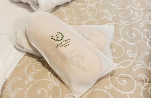 idhra Hotel | Hotel Sophia