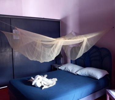 Las Galeras Hostel | Il Triangolo Hostel