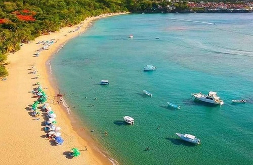 ProCab Apartment | Inexpensive pets-friendly studio near beach