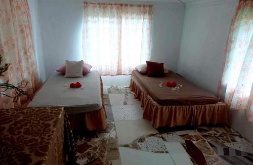Taveuni Island East Apartment | JayDees Homestay