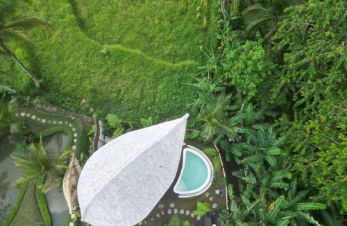 Kenderan Cabin | JinengBali Eco Lodge