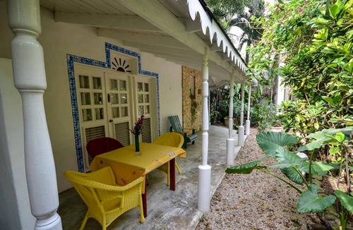 ProCab Apartment | Jungle studio with kitchenette