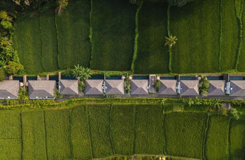 Ubud City-Centre Resort | Kaamala Resort & Spa Ubud by Ini Vie Hospitality