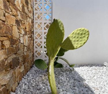 Antiparos Apartment | Kastro Antiparos