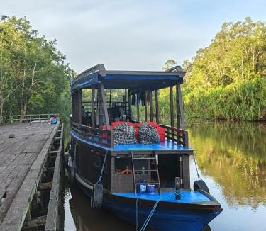 Kumai Boat Rental | Kelotok Orangutan Tanjung Puting