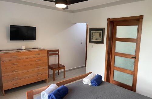 Cabarete Apartment | Kite Beach Oceanfront Two Bedroom Patio and Garden