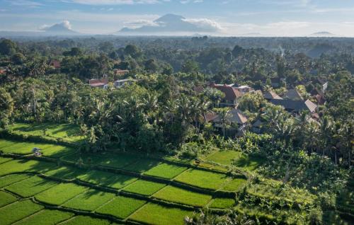 Kedewatan Resort | Kori Ubud Resort, Restaurant & Spa