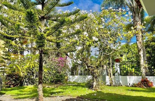 San Francisco de Macoris House | Large 3 BD home w/AC,Beautiful Yard,Best location