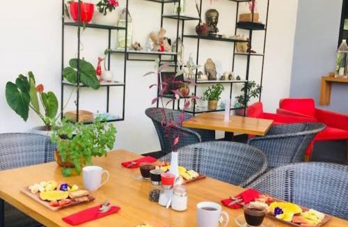 Lovina Hotel | Le Chien Rouge
