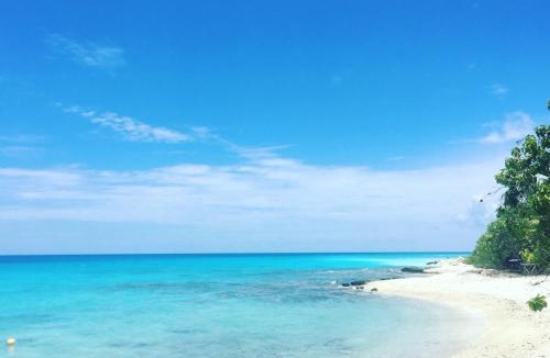 Rangiroa House | LE FARE BLEU Chambres d'hôtes climatisées en bord de lagon à Tiputa Rangiroa - vélos gratuits et snorkeling