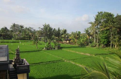 Nyuh Kuning Resort | Loka Pala Villa