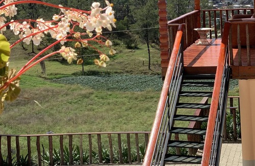 Constanza Apartment | Los Altos de Constanza