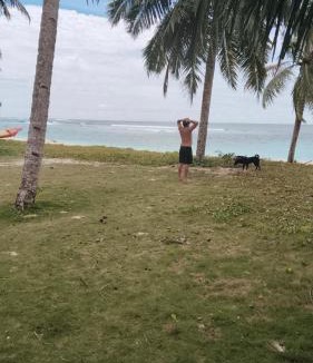 Katiet House | Losmen katiet beach front, lances right surf camp peter Homestay