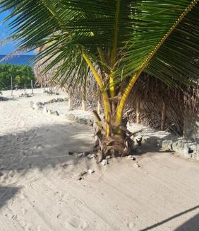 Huahine Other | Mahana Tua Lodge Huahine