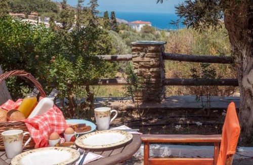 Andros Apartment | Mainades Maisonettes & Studios - Andros Serene Escape