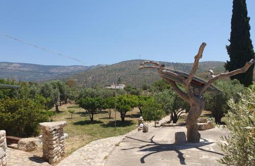 Volissos House | Managros Rooms - Studio Thea