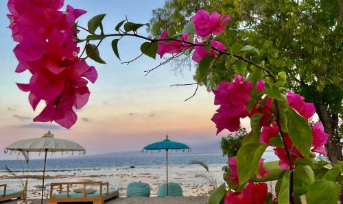 Gili Air Bed & Breakfast | Mandala Beach healing rooms Gili Air