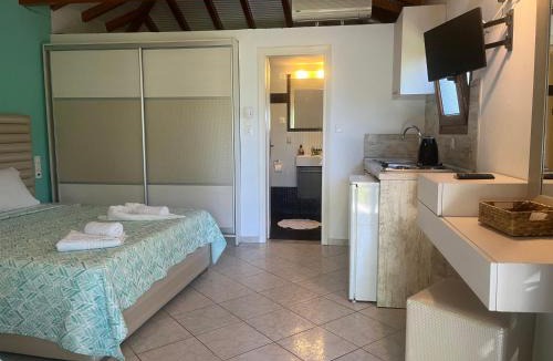 Achladies Apartment | Maniatis Garden