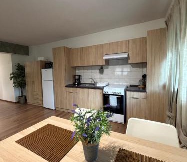 Perea Apartment | Mary's Pool Apartment