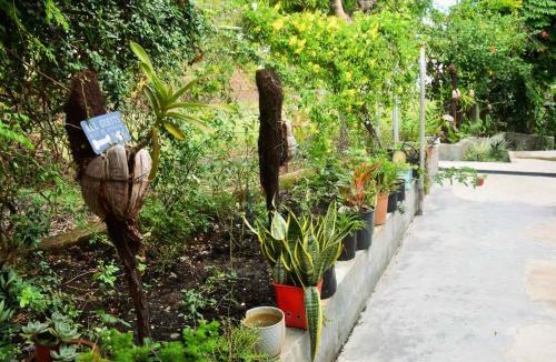 Ba Apartment | Marys Cottage