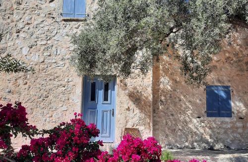 Tselendata Villa | Mathilda's House