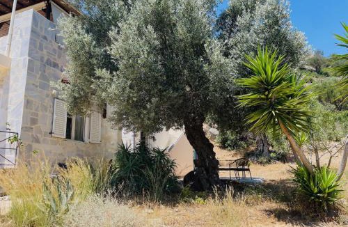 Agia Galini House | Meer an Oliven