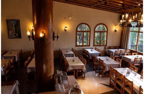 Grevena Hotel | Milionis Forest Hotel