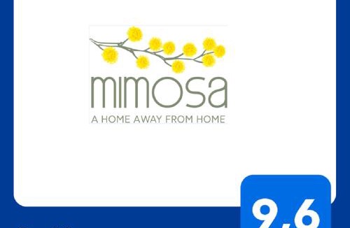 Anatoli Apartment | Mimosa